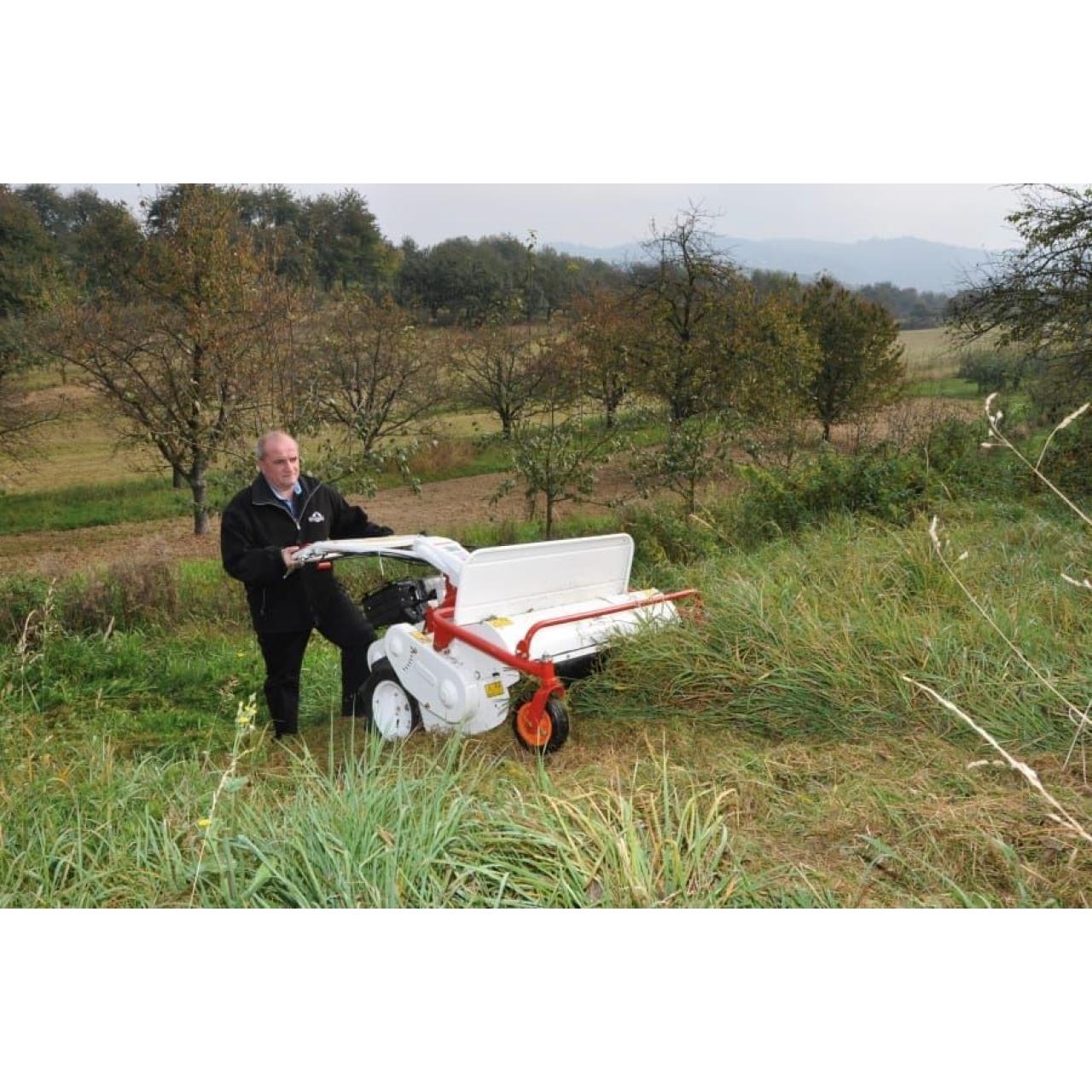 Schlegelmäher Profi-Line HR 531